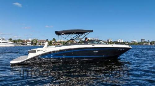 Sea Ray 290 Sundeck Outboard ficha técnica y opiniones